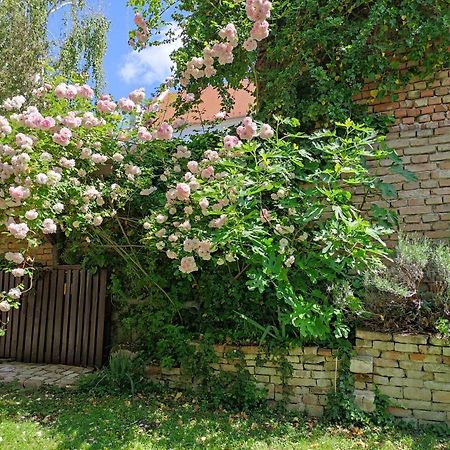 Patak28 Apartmanok Ödenburg Exterior foto